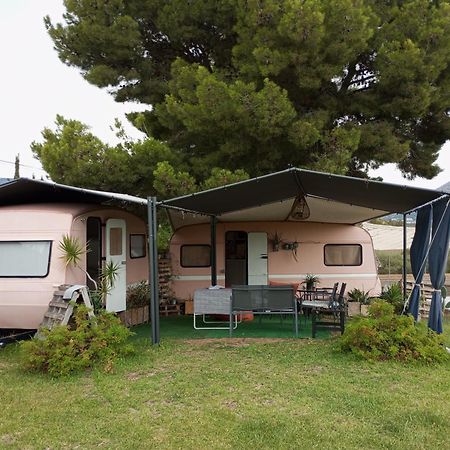 Caravana- Glamping Casa Tortuga La Nucía Eksteriør billede