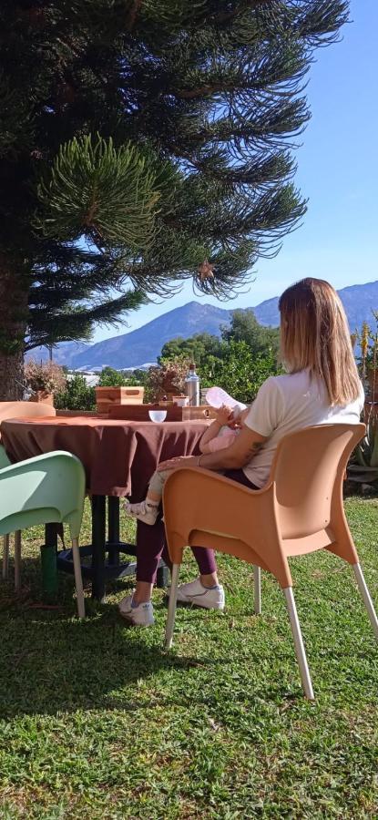 Caravana- Glamping Casa Tortuga La Nucía Eksteriør billede